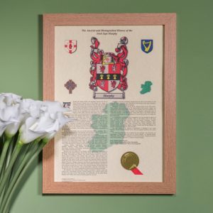 Irish History Print