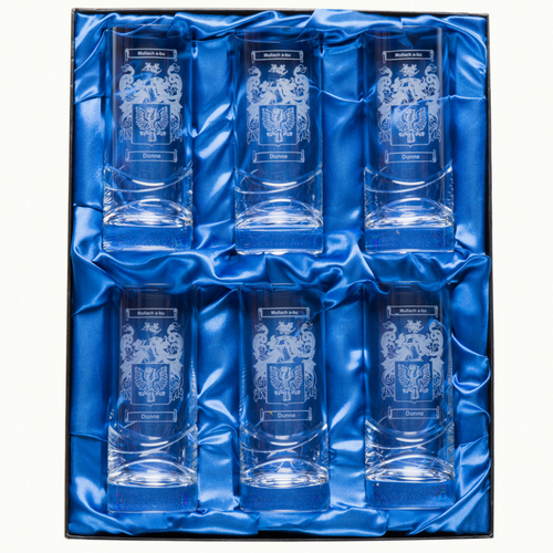 Hi Ball glasses with coats of arms and family crest