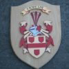 Hand-Crafted Coat of Arms Shield Shield