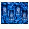 Set of Four Hi-Ball Coat of Arms Glasses