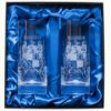 Set of 2 Hi-Ball Coat of Arms Glasses