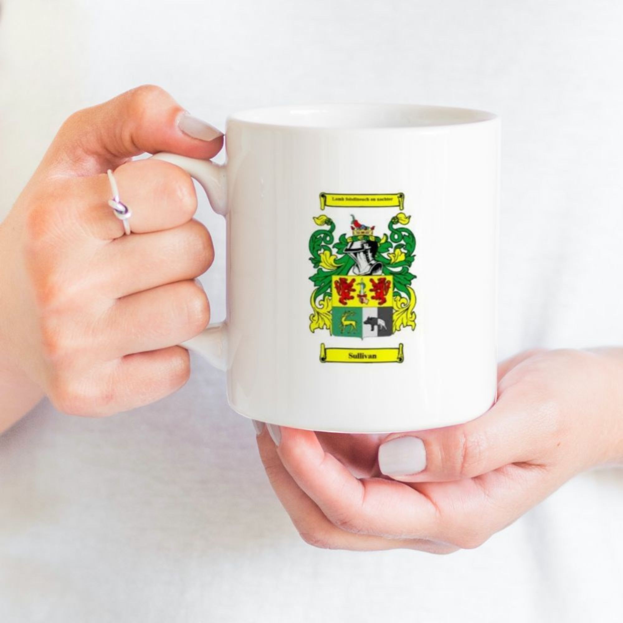 mug with coat of arms and family crest (2)
