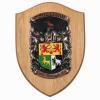 Single Coat of Arms Oak Shield