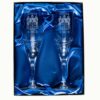 Set of Two Coat of Arms Champagne Flutes