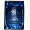 Verona Coat of Arms Whisky Tumbler in Presentation Box