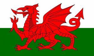 The dragon on the Welsh flag is an internationally recognised symbol.