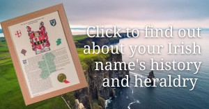 Irish name history