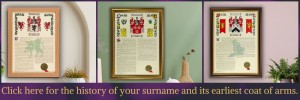 Personalised wording on a surname history scroll.