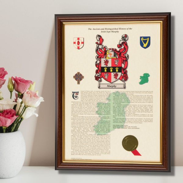 Irish Surname History Prints