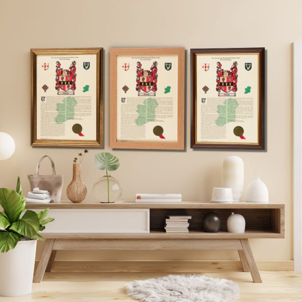 Irish Surname History Prints