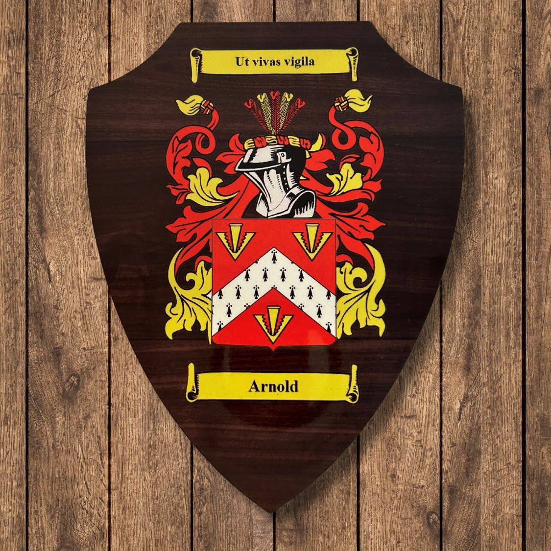 shield coat of arms family crest (10)