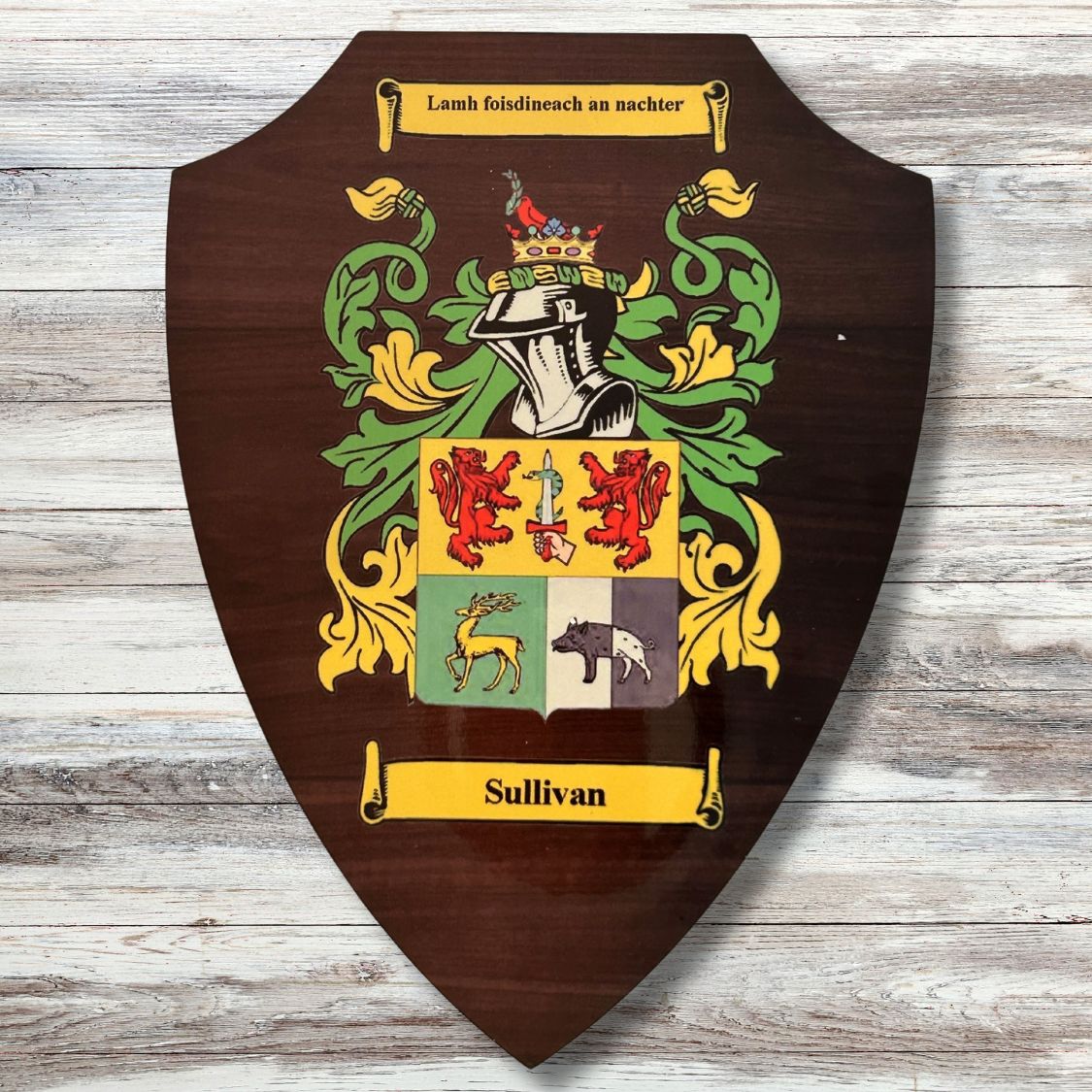 shield coat of arms family crest (14)