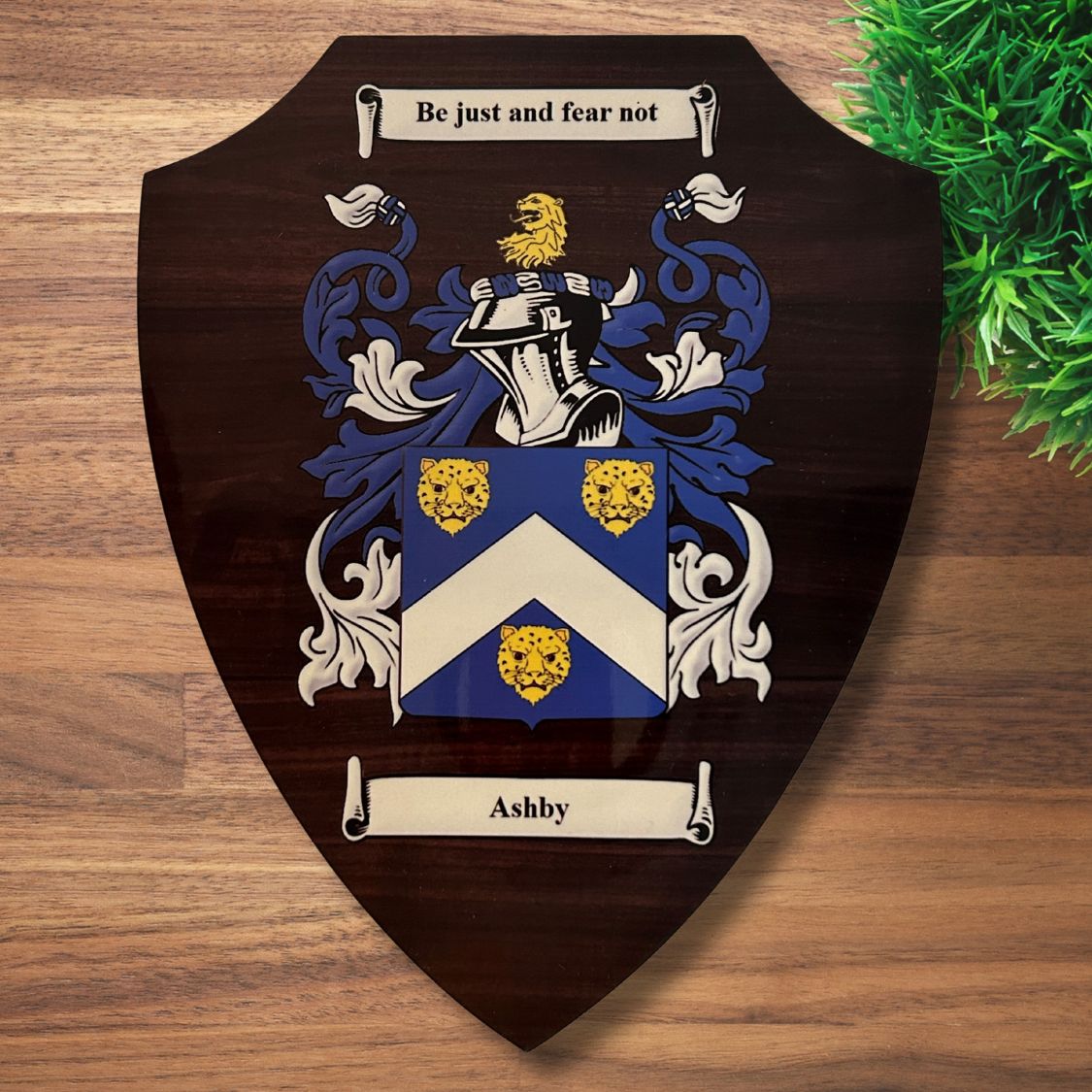 shield coat of arms family crest (16)